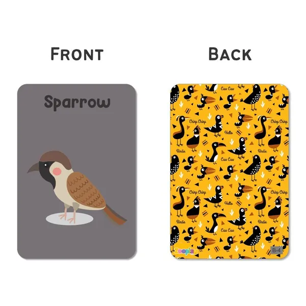 Birds_Flash_Cards_For_Kids