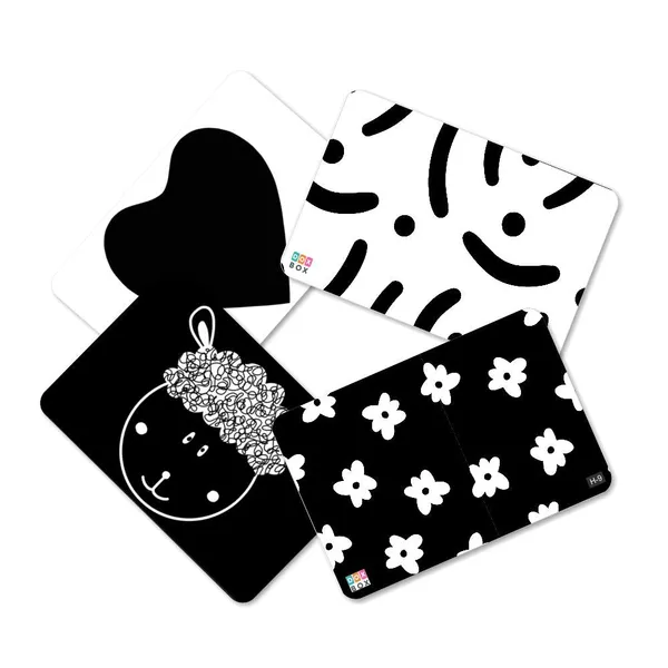Zooplay_High_Contrast_Flashcards