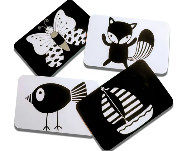 Zooplay_High_Contrast_Flashcards