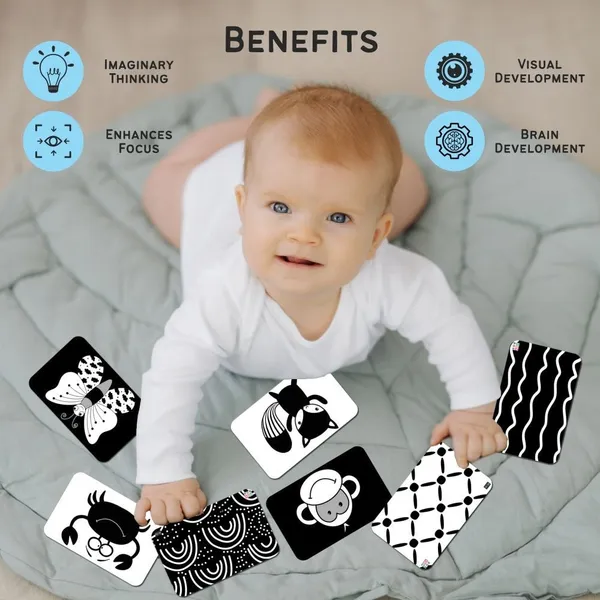 Zooplay_High_Contrast_Flashcards