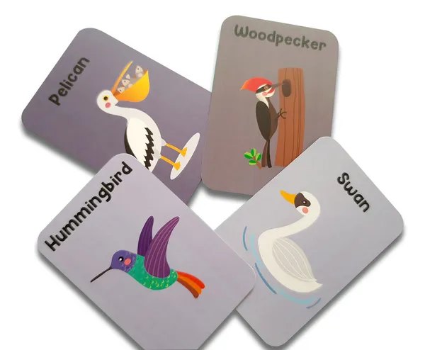 Animal_World_Combo_Flashcards_Animals_Birds_Insects_And_Sea_Animals