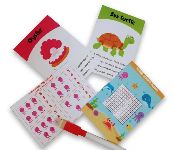 Animal_World_Combo_Flashcards_Animals_Birds_Insects_And_Sea_Animals