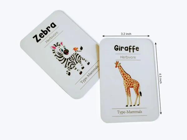 Animal_World_Combo_Flashcards_Animals_Birds_Insects_And_Sea_Animals