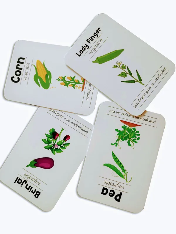 First_Flashcards_Combo_Pack_Animals_Fruits_Vegetables_Professions_Space_Flashcards