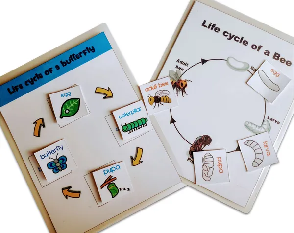 4_Lifecycle_Activity