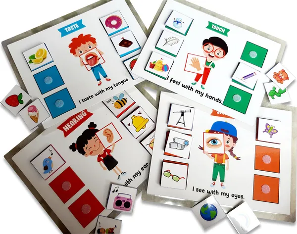 5_Senses_Sorting_Activity_Games
