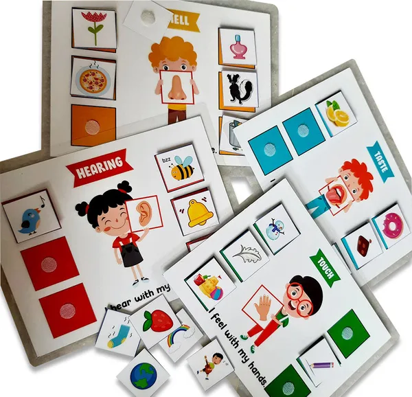 5_Senses_Sorting_Activity_Games