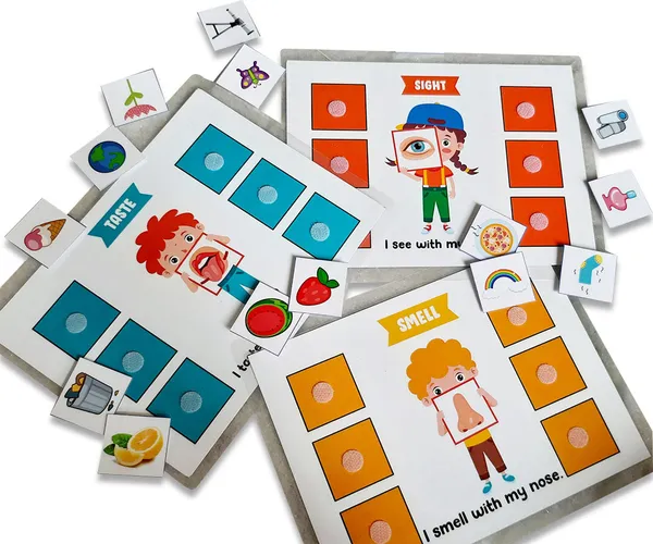 5_Senses_Sorting_Activity_Games