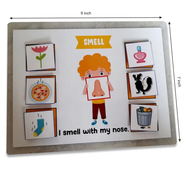 5_Senses_Sorting_Activity_Games