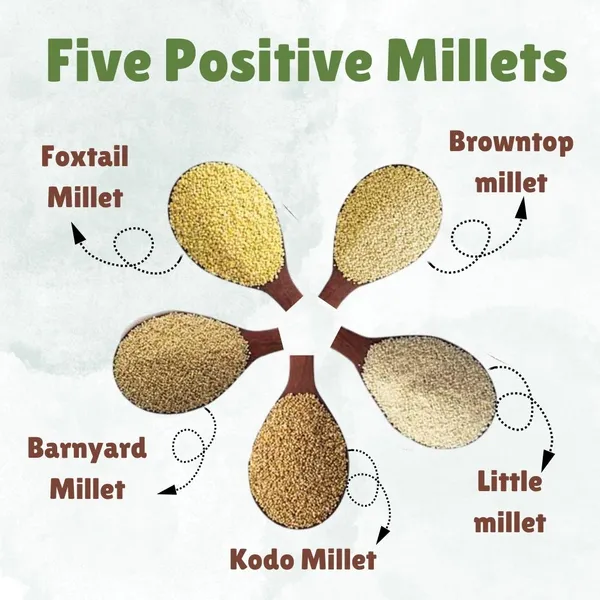 Little_Millet_Pack_Of_4