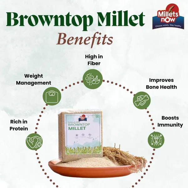 Browntop_Millet_Pack_Of_2