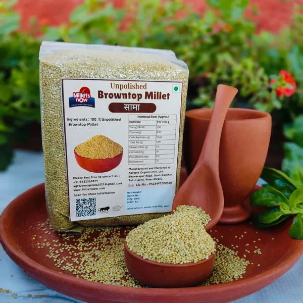 Browntop_Millet_Pack_Of_2