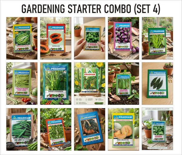 Premium_Vegetable_Seeds_Gardening_Starter_Combo_Set_4,__Pack_Of_15_Varieties_By_Pradhan_Seeds