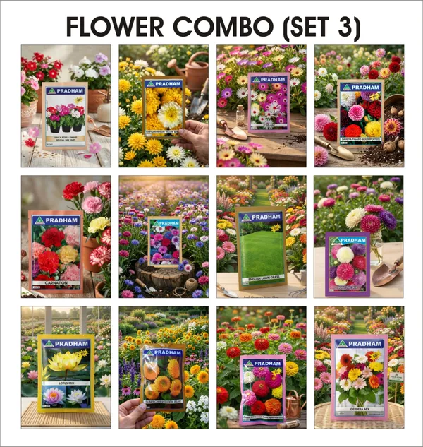 Pradham_Flower_Combo_Set_3_Mixed_Variety_Garden_Flower_Seeds_Collection_(Pack_Of_12)