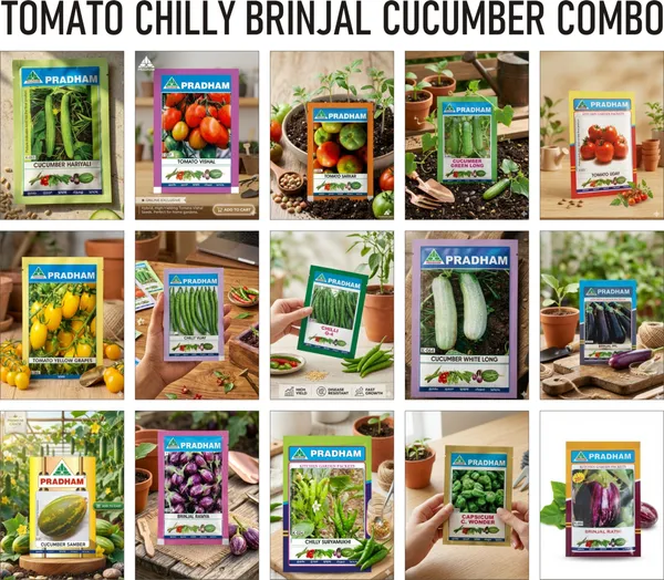Pradham_Vegetable_Seeds_Combo_Pack_Tomato,_Chilli,_Brinjal,_Cucumber_(15_Varieties)