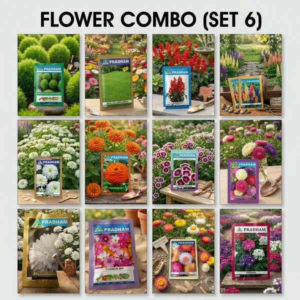 Pradham_Flower_Seeds_Combo_Set_6,_Pack_Of_12_Varieties_For_Home_Garden
