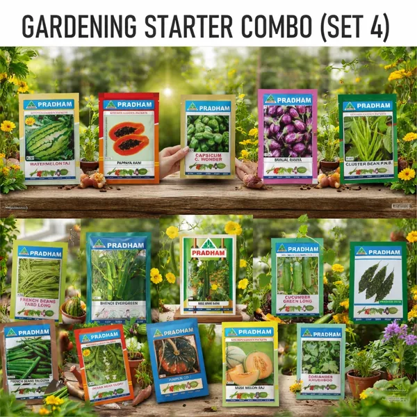 Premium_Vegetable_Seeds_Gardening_Starter_Combo_Set_4,__Pack_Of_15_Varieties_By_Pradhan_Seeds
