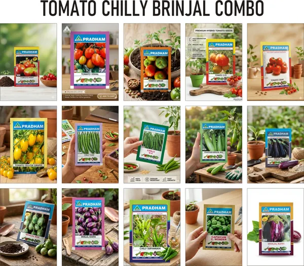 Pradham_Tomato_Chilli_Brinjal_Combo_Vegetable_Seed_Pack_of_15