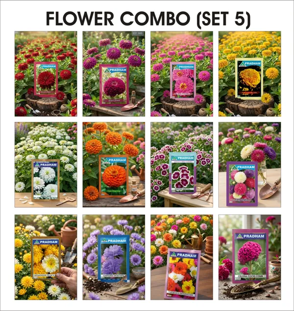 Flower_Combo_Seed_Set_Assorted_Blooms_Set_5_Pack_of_12