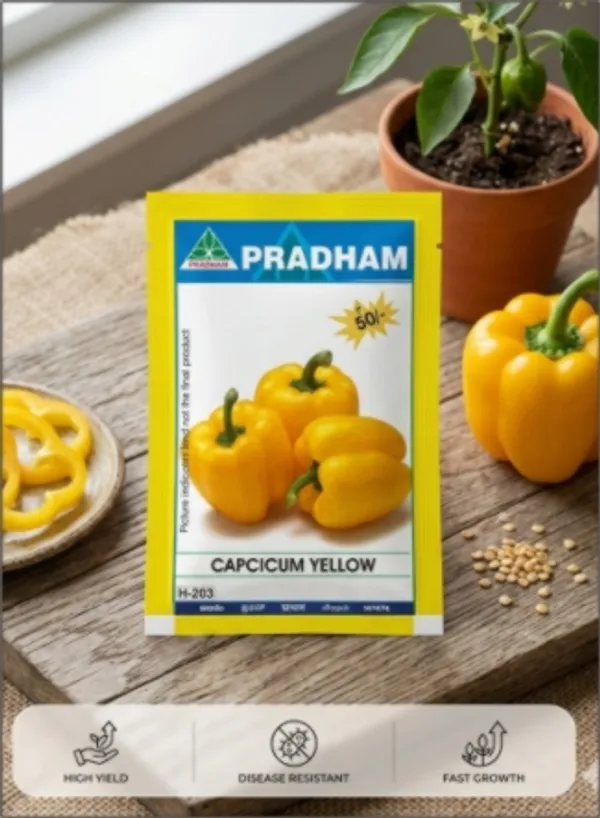 Capcicum_yellow
