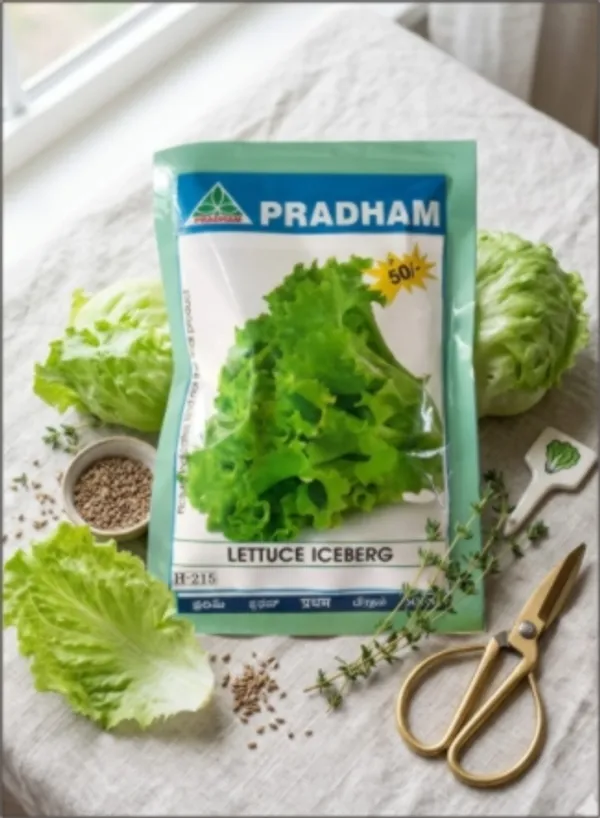 Lettuce_iceberg