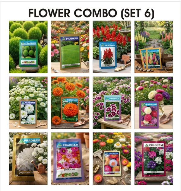 Pradham_Flower_Seeds_Combo_Set_6,_Pack_Of_12_Varieties_For_Home_Garden