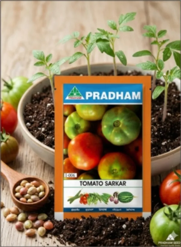Tomato_Sarkar