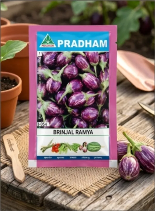 Brinjal_Ramya