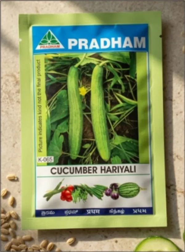 Cucumber_hariyali