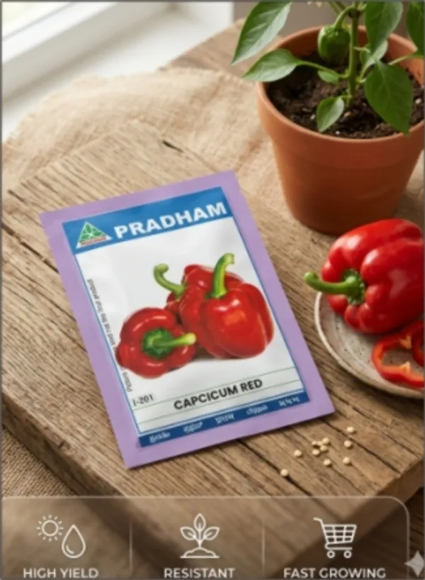 Capcicum_Red