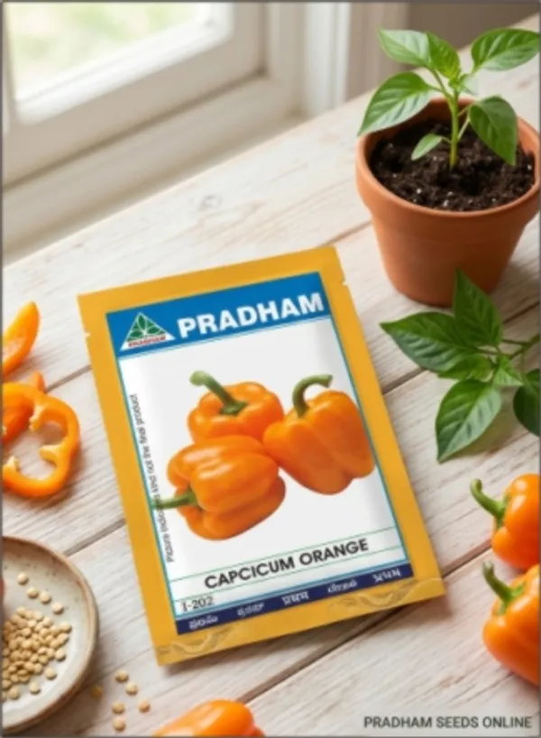 Capcicum_Orange