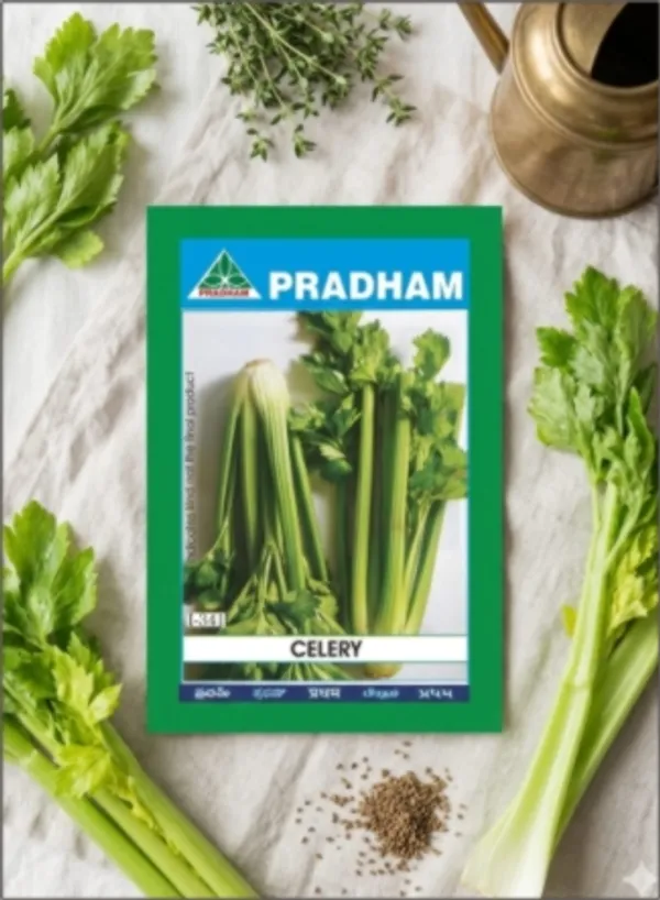 Celery