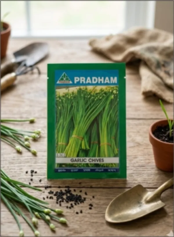 Garlic_chives