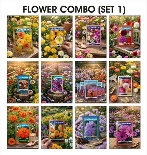 Flower_Combo_(Set_1)_Pack_of_12_Assorted_Flower_Seeds_Collection_By_Pradhan_Seeds