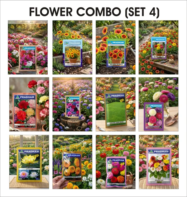 Flower_Combo_Seed_Collection_Set_4_,_Pack_of_12