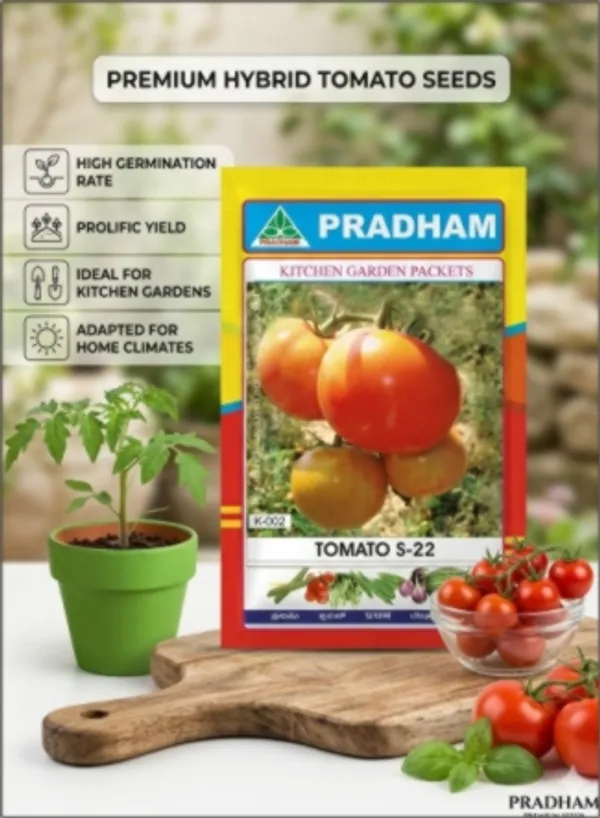 Tomato_S-22
