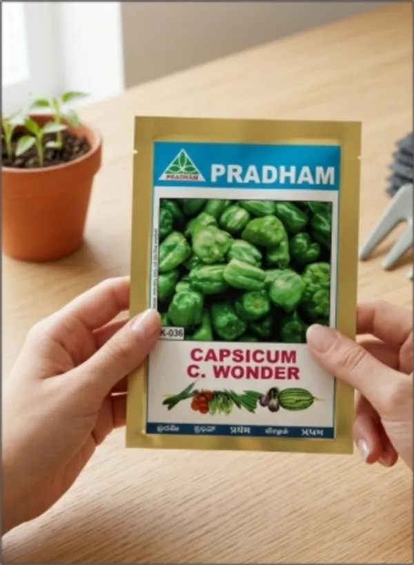 Capcicum_C_Wonder