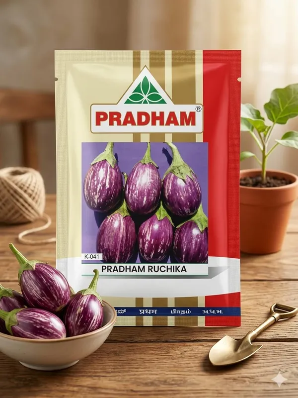 Brinjal_Ruchika