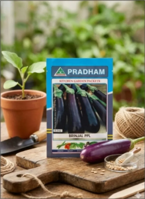Brinjal_PPL