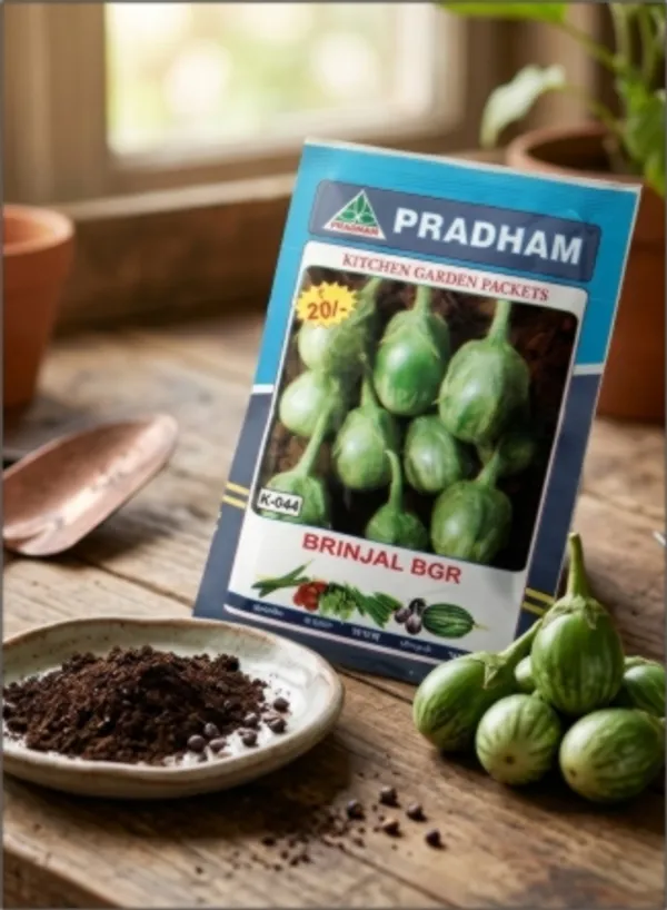 Brinjal_Green_round