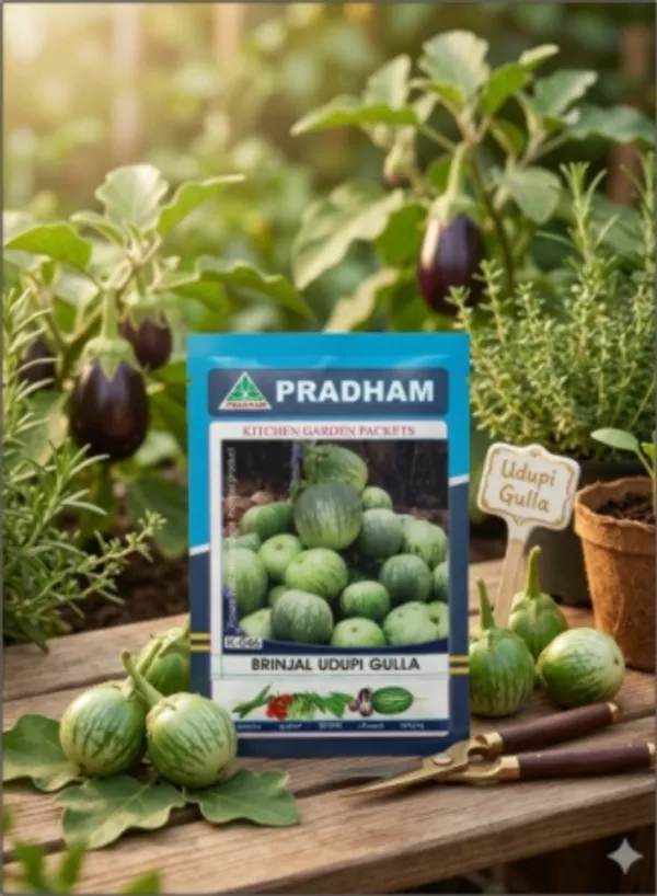 Brinjal_Udupi_gulla
