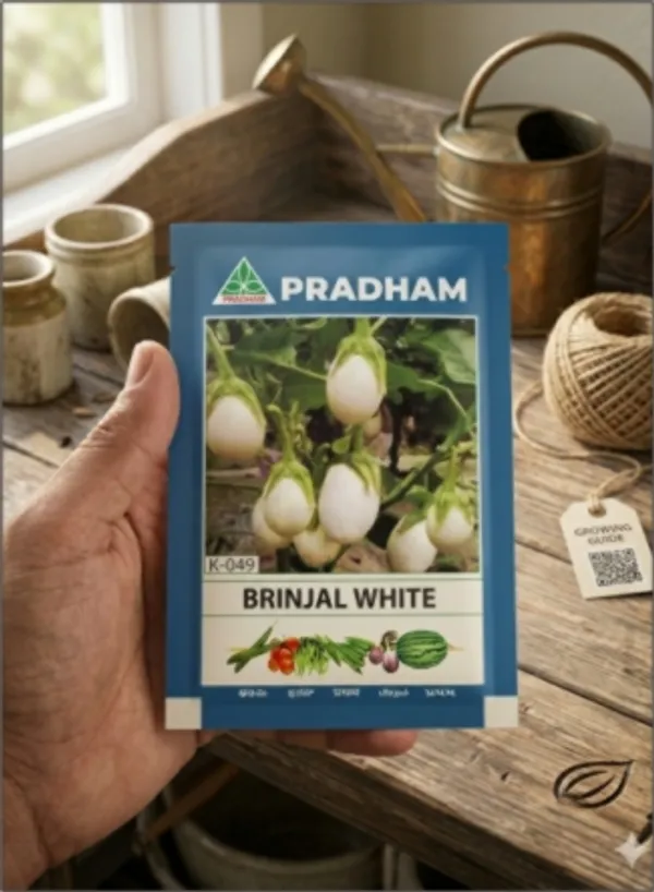 Brinjal_White