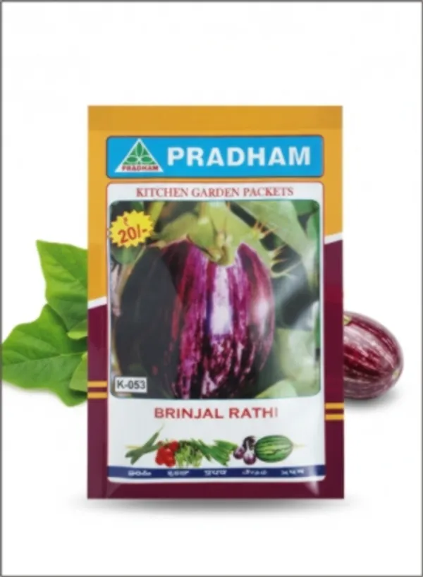 Brinjal_Rathi