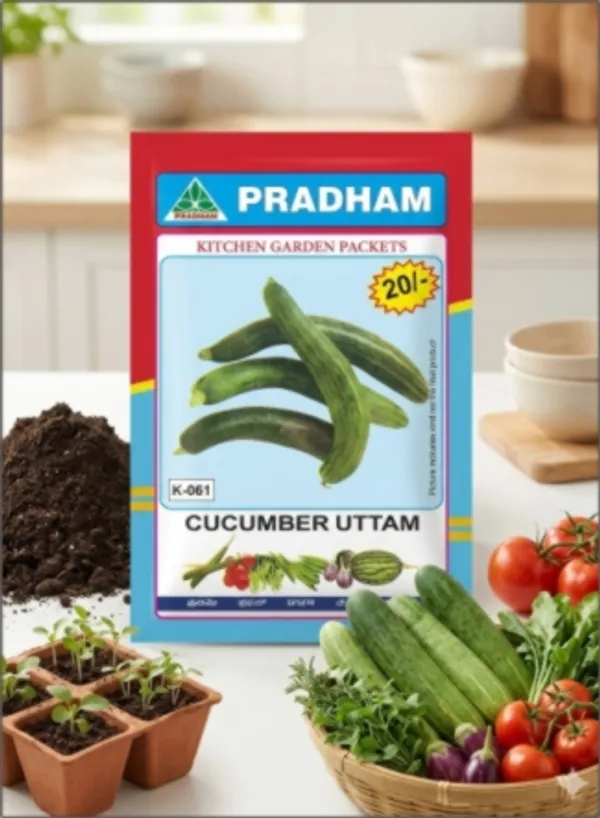 Cucumber_Uttam