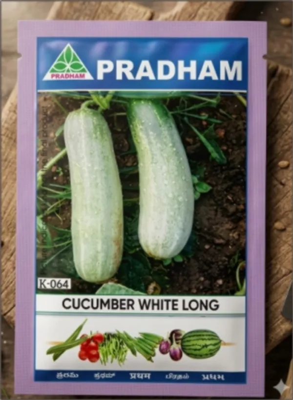 Cucumber_white_long