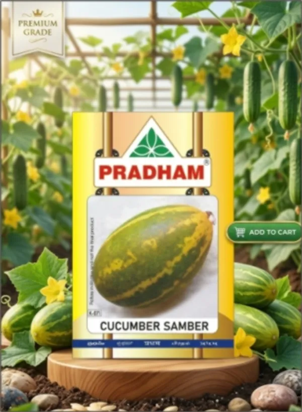 Cucumber_Samber