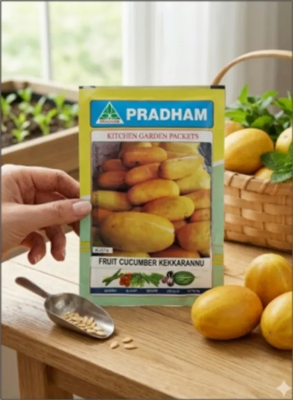 Fruit_Cucumber