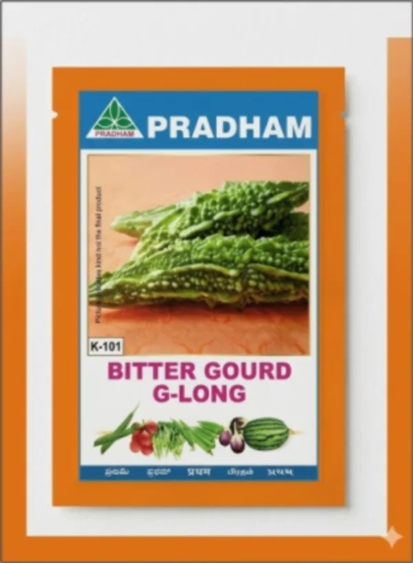 Bitter_gourd_Green_long