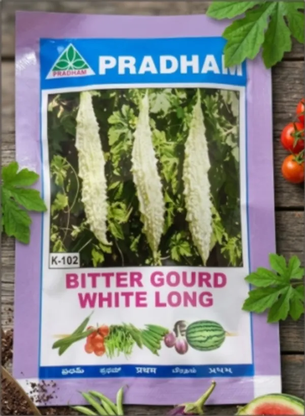 Bitter_gourd_white_long