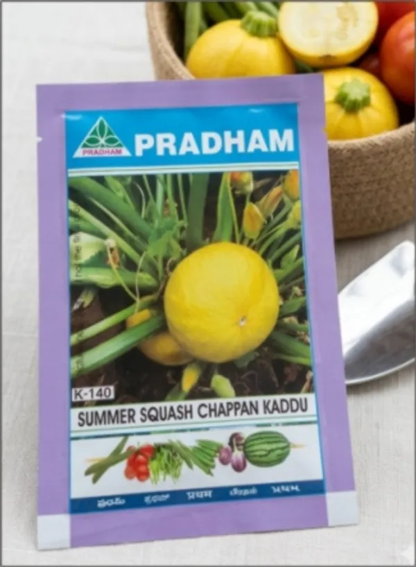 Summer_Squash